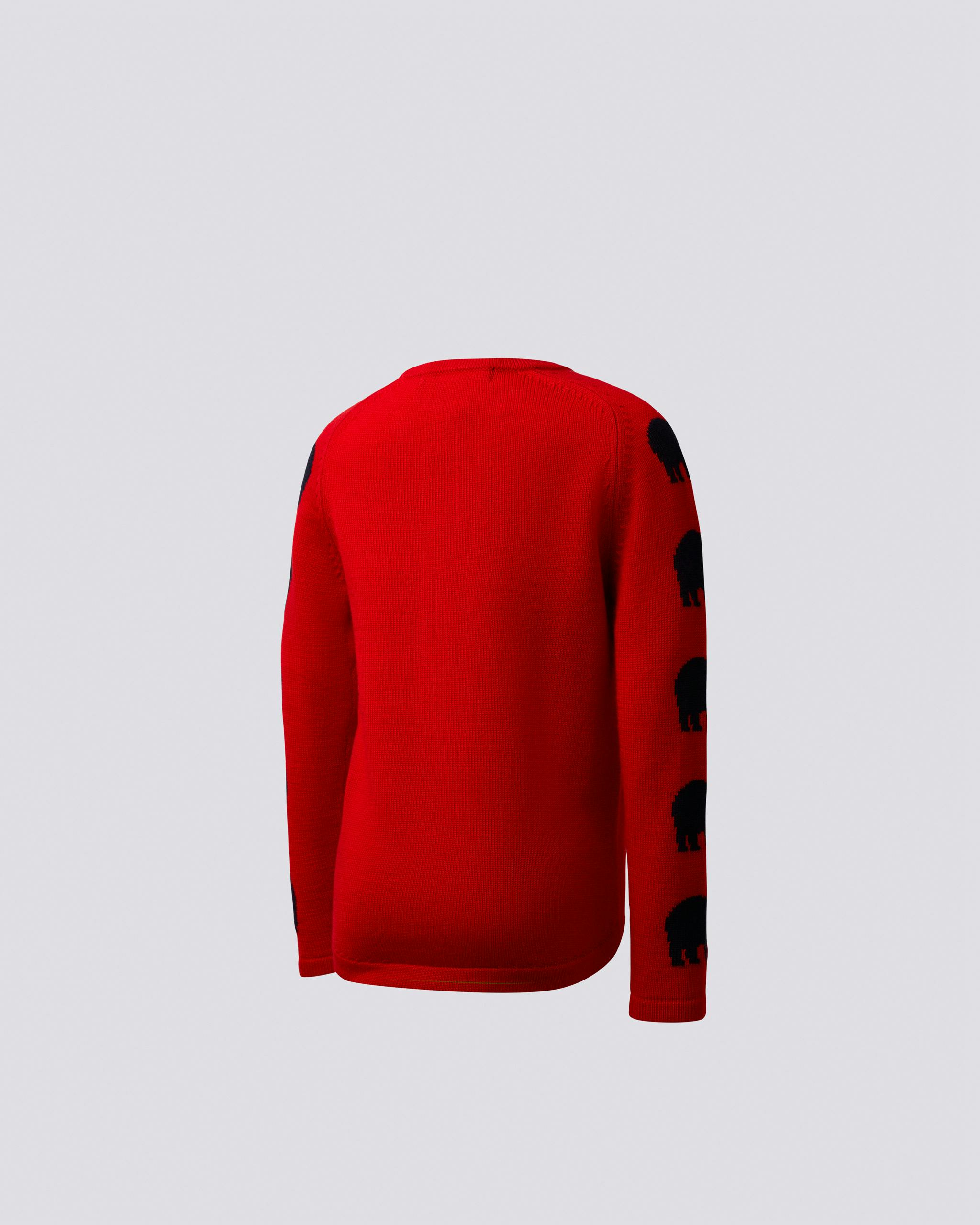 Ski Merino Wool Sweater 1