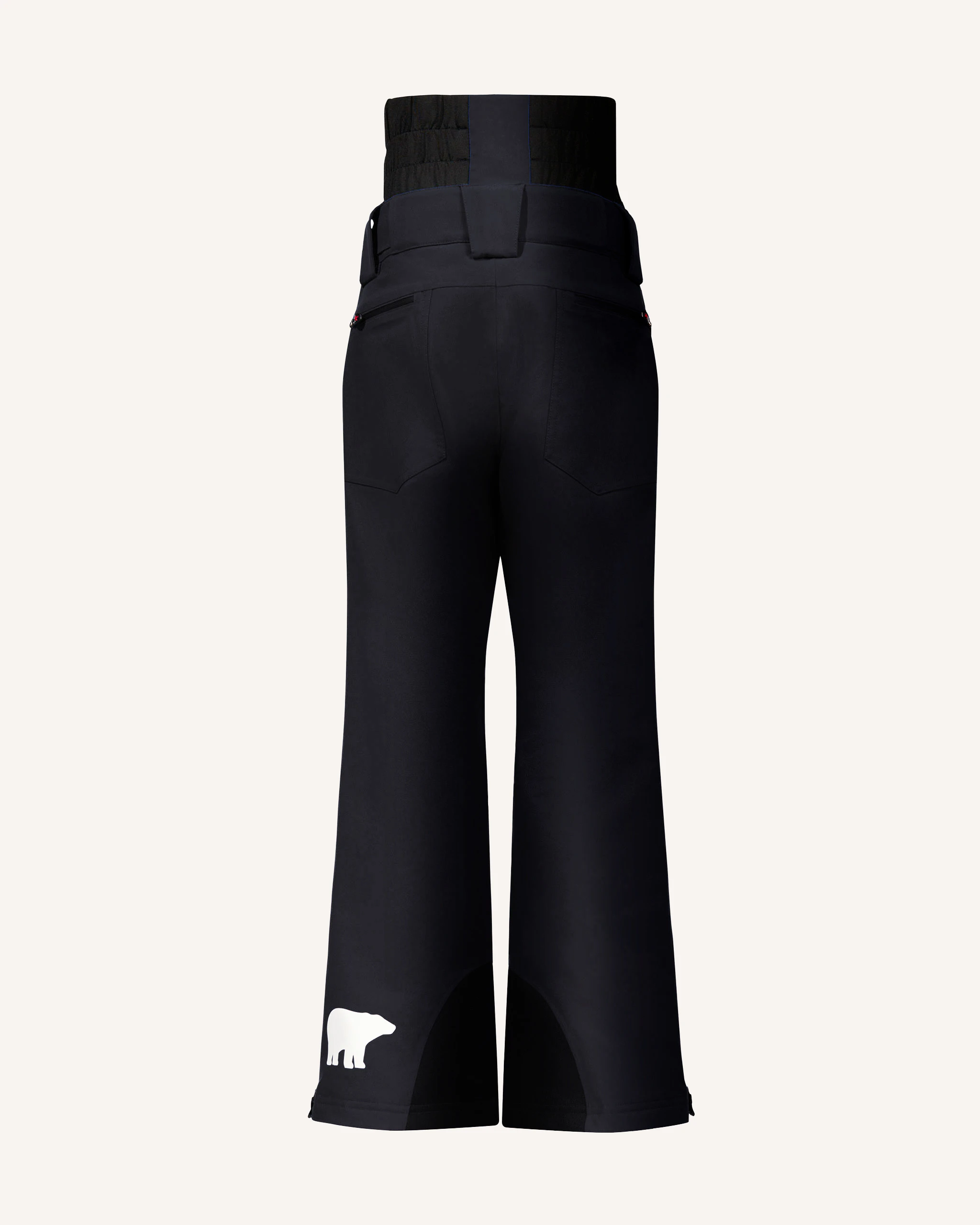Chamonix Ski Pant 2