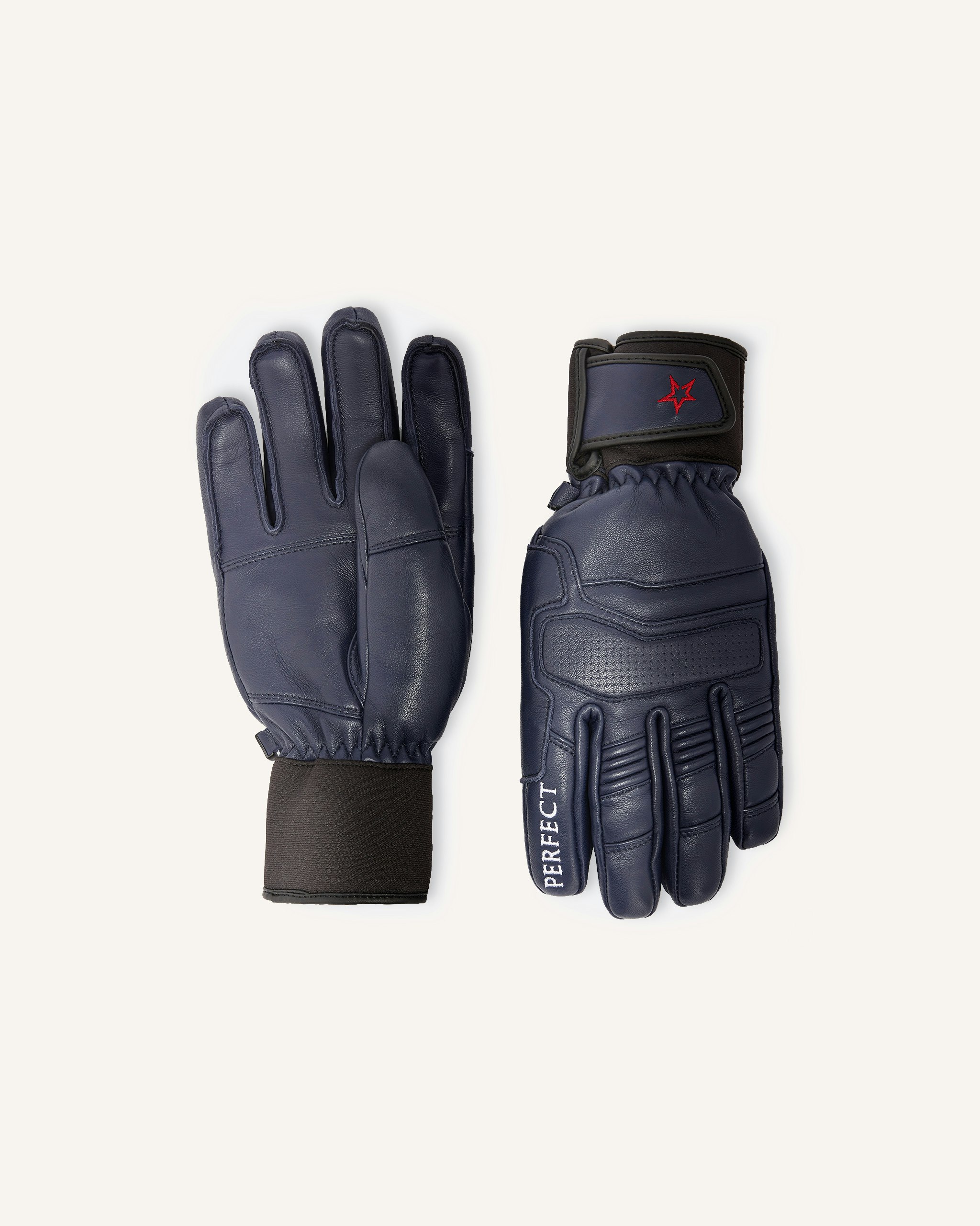 PM Ski Gloves 0