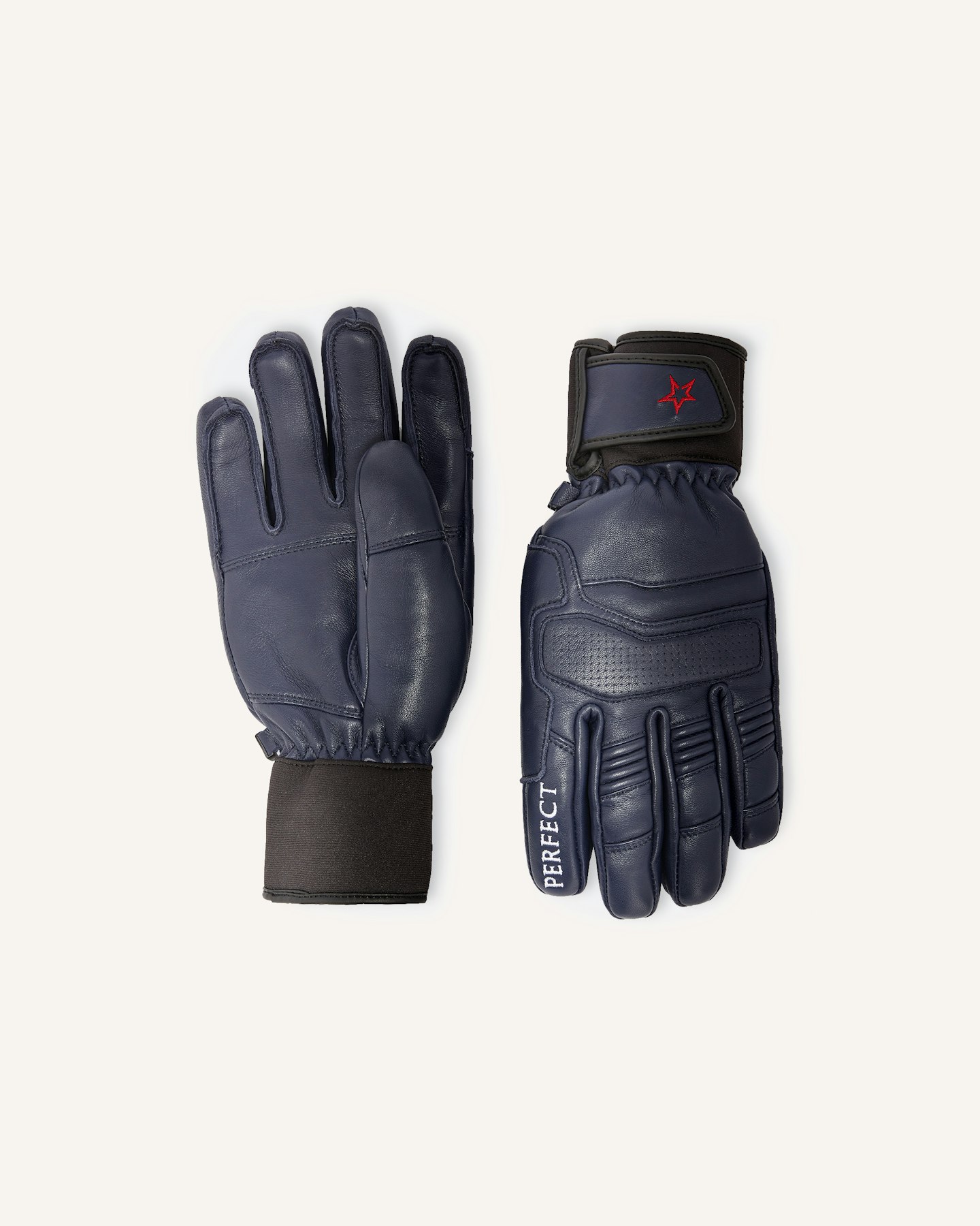 PM Ski Gloves 0