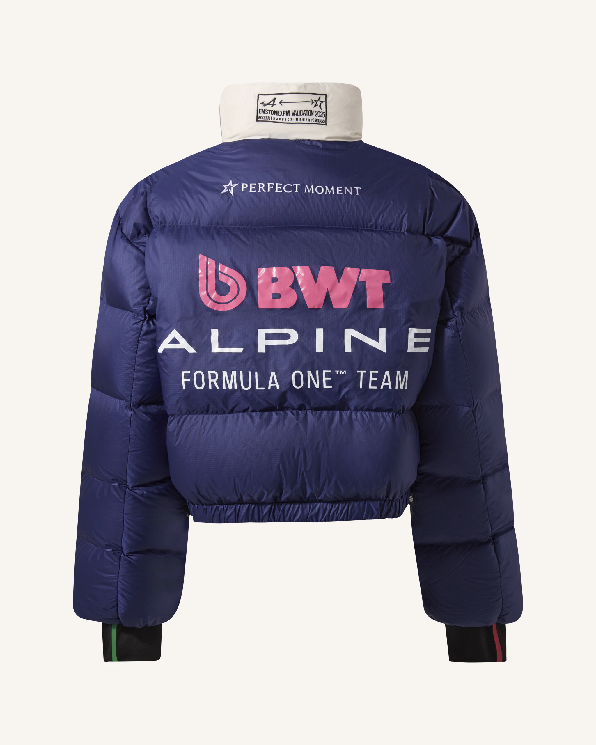 ジャケット・アウター everyone eVent down jacket (NAVY)L Unisex Alps Down Jacket | Perfect Moment