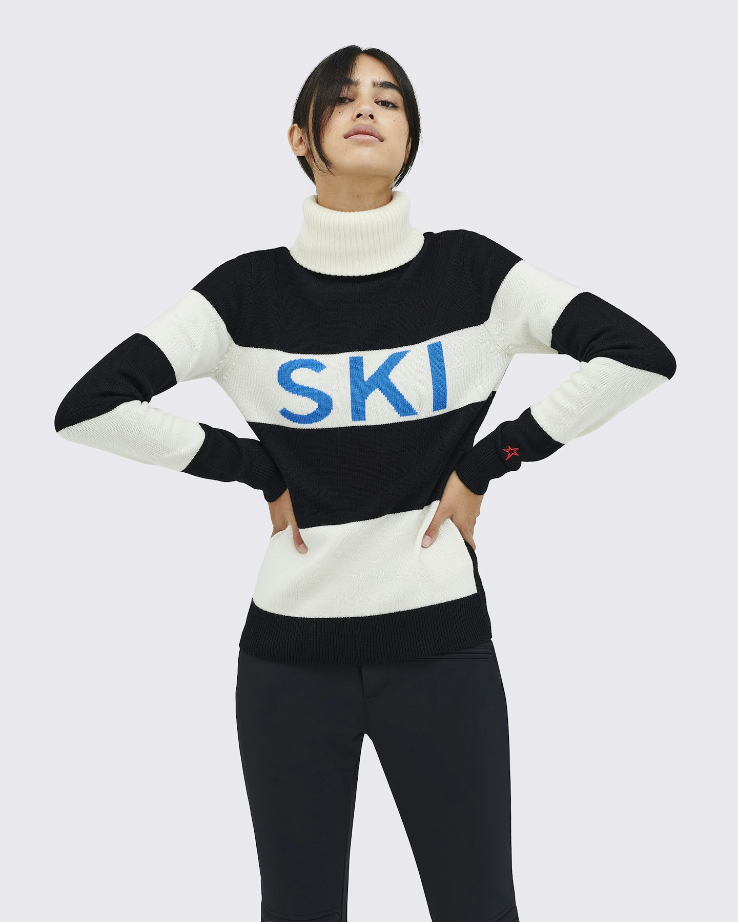 Ski Sweater II 2